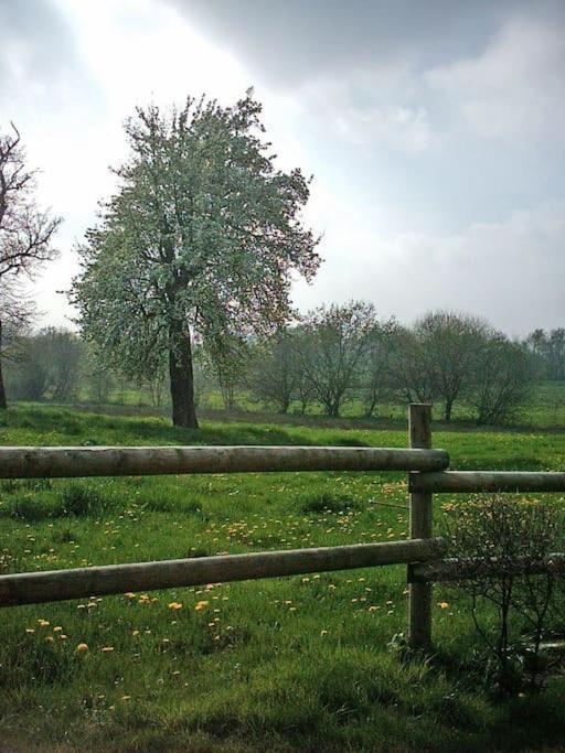 Gite : La Cochetiere : Ancienne Ferme 18Eme Villa Le Grais ภายนอก รูปภาพ